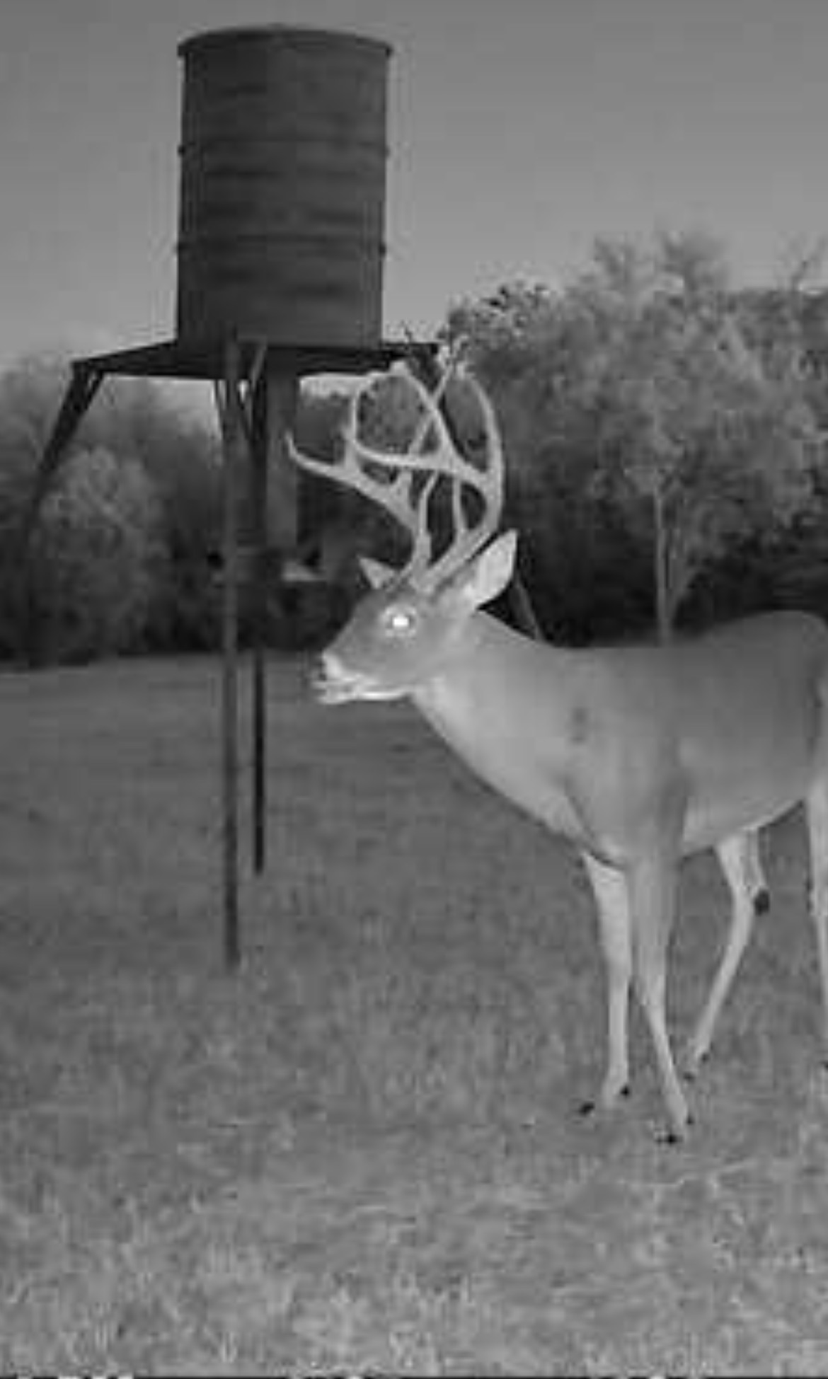 4025 County Road 175 Stephenville TX 76401