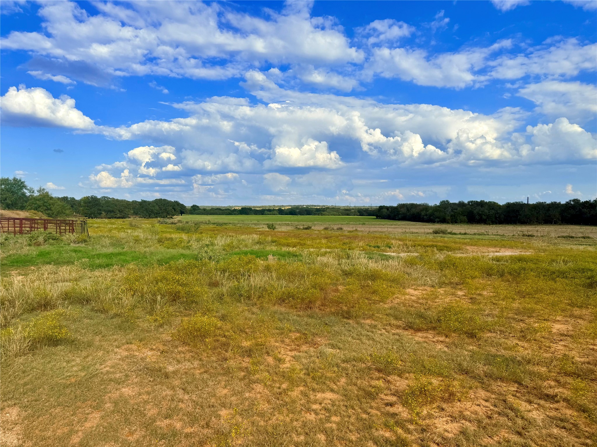 2101 Erwin Road Jacksboro TX 76458