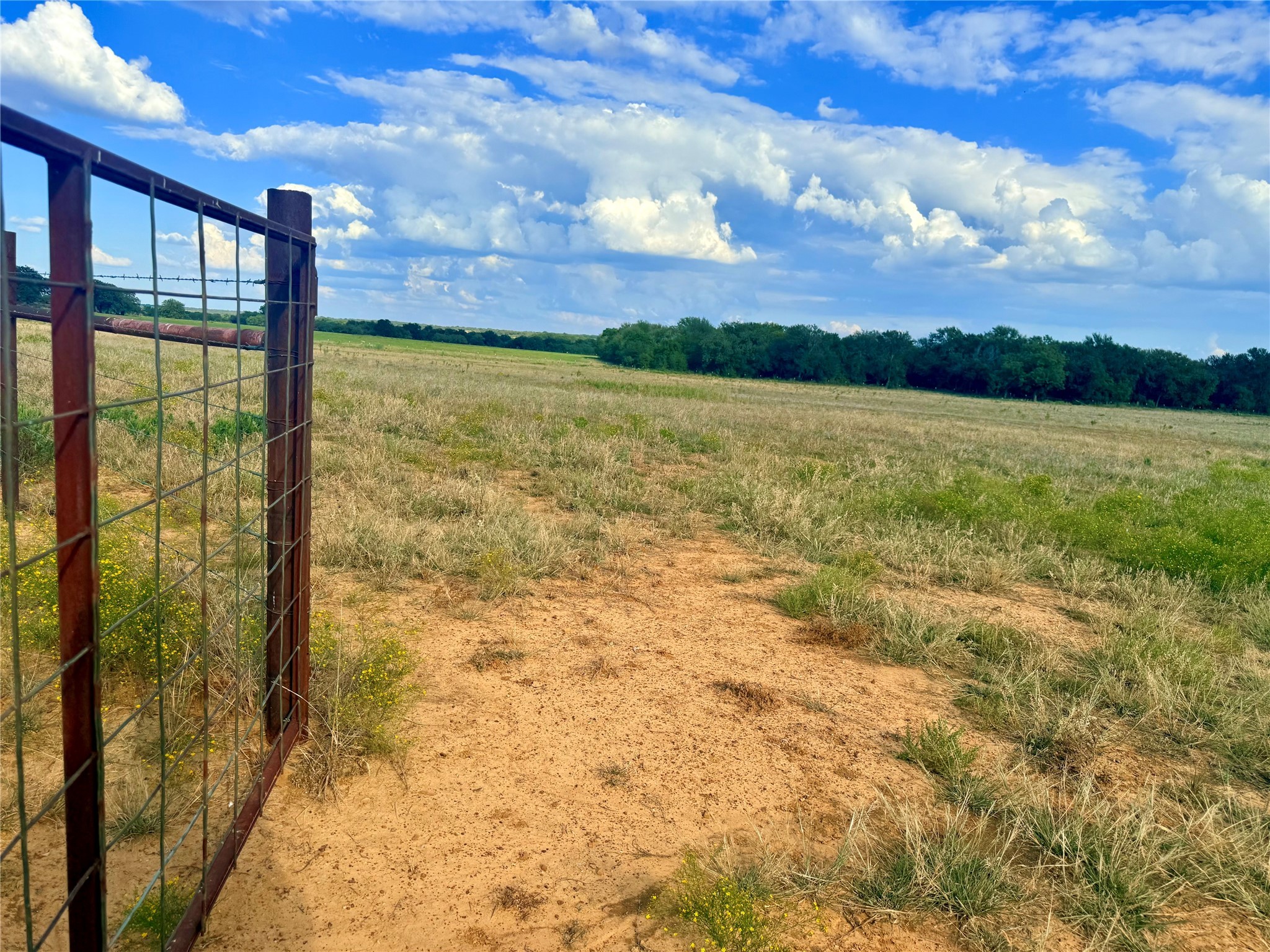 2101 Erwin Road Jacksboro TX 76458