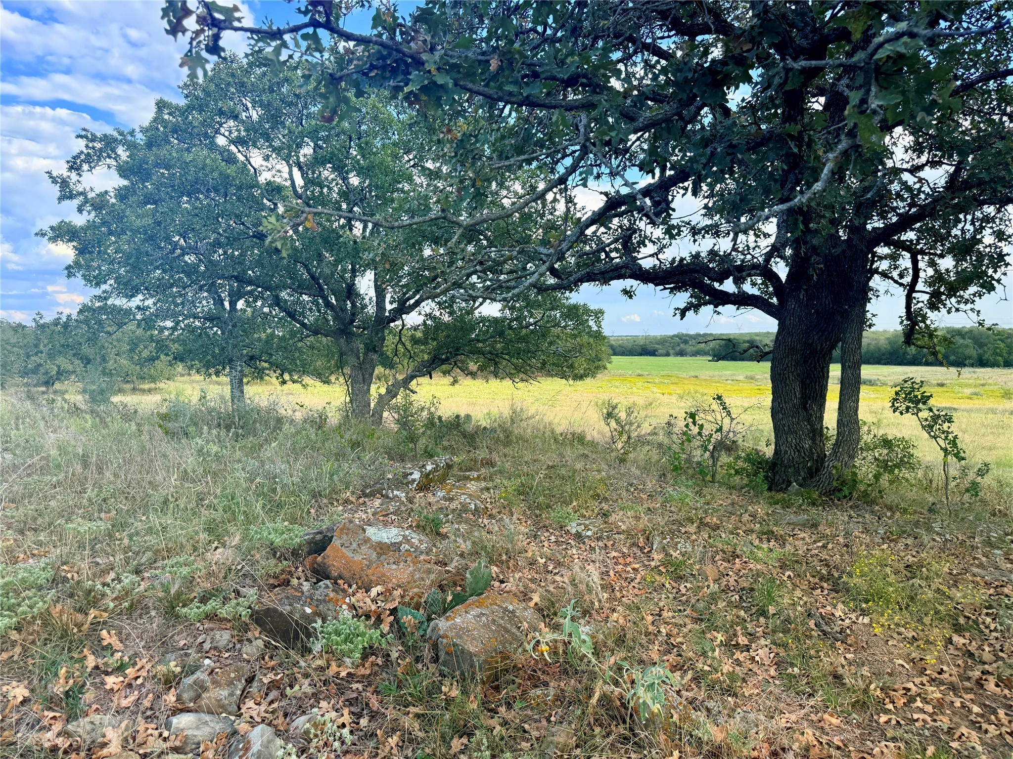 2101 Erwin Road Jacksboro TX 76458