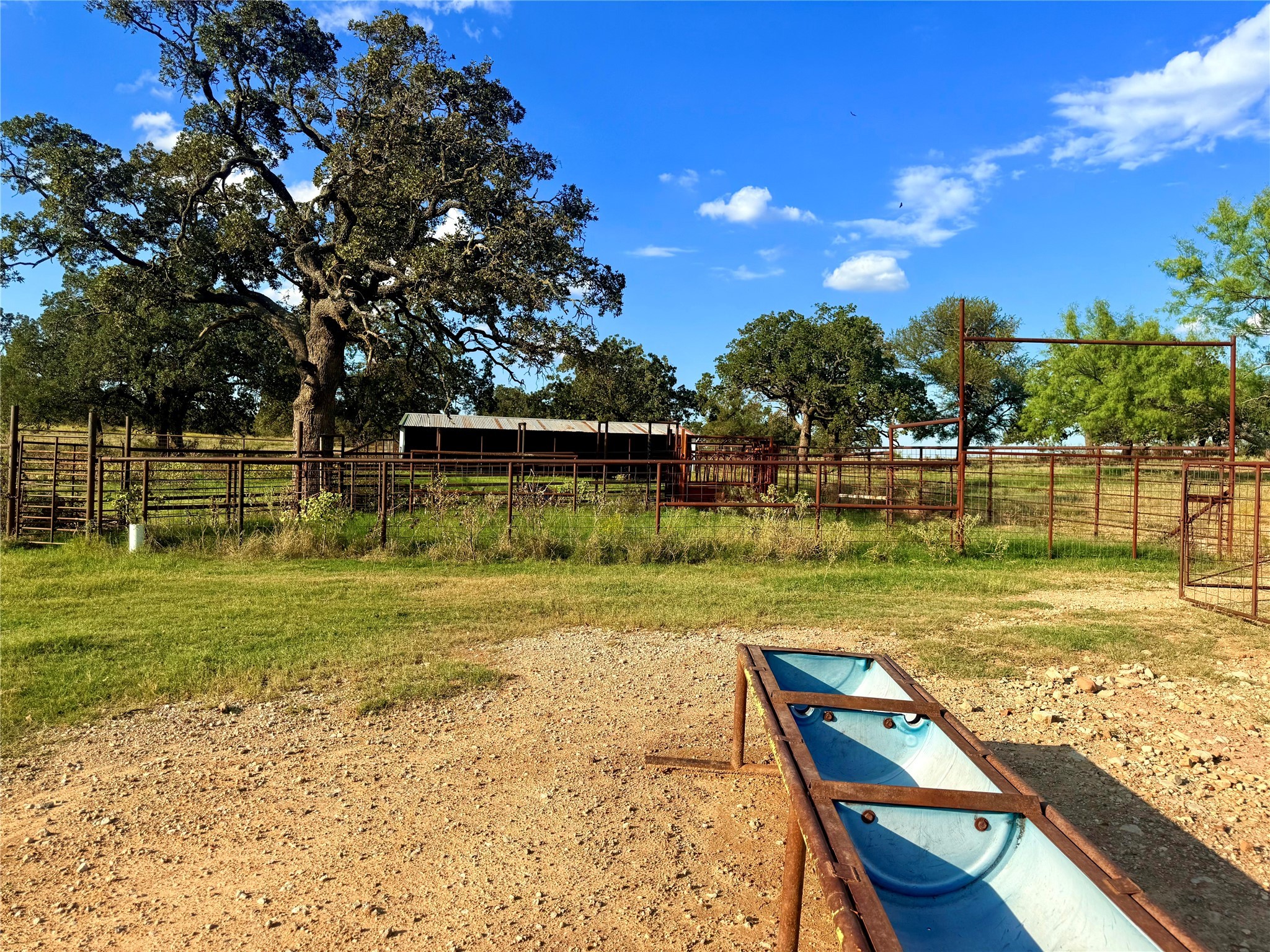 2101 Erwin Road Jacksboro TX 76458