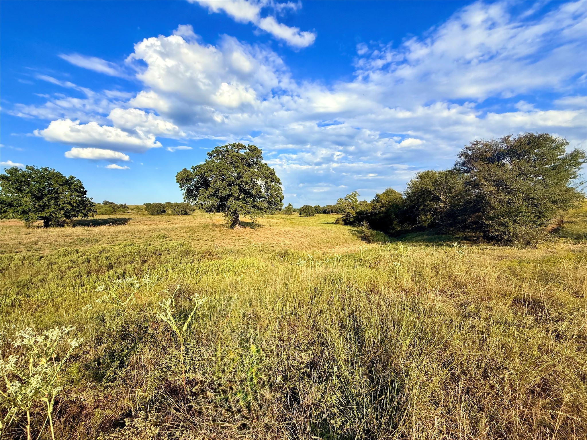 2101 Erwin Road Jacksboro TX 76458