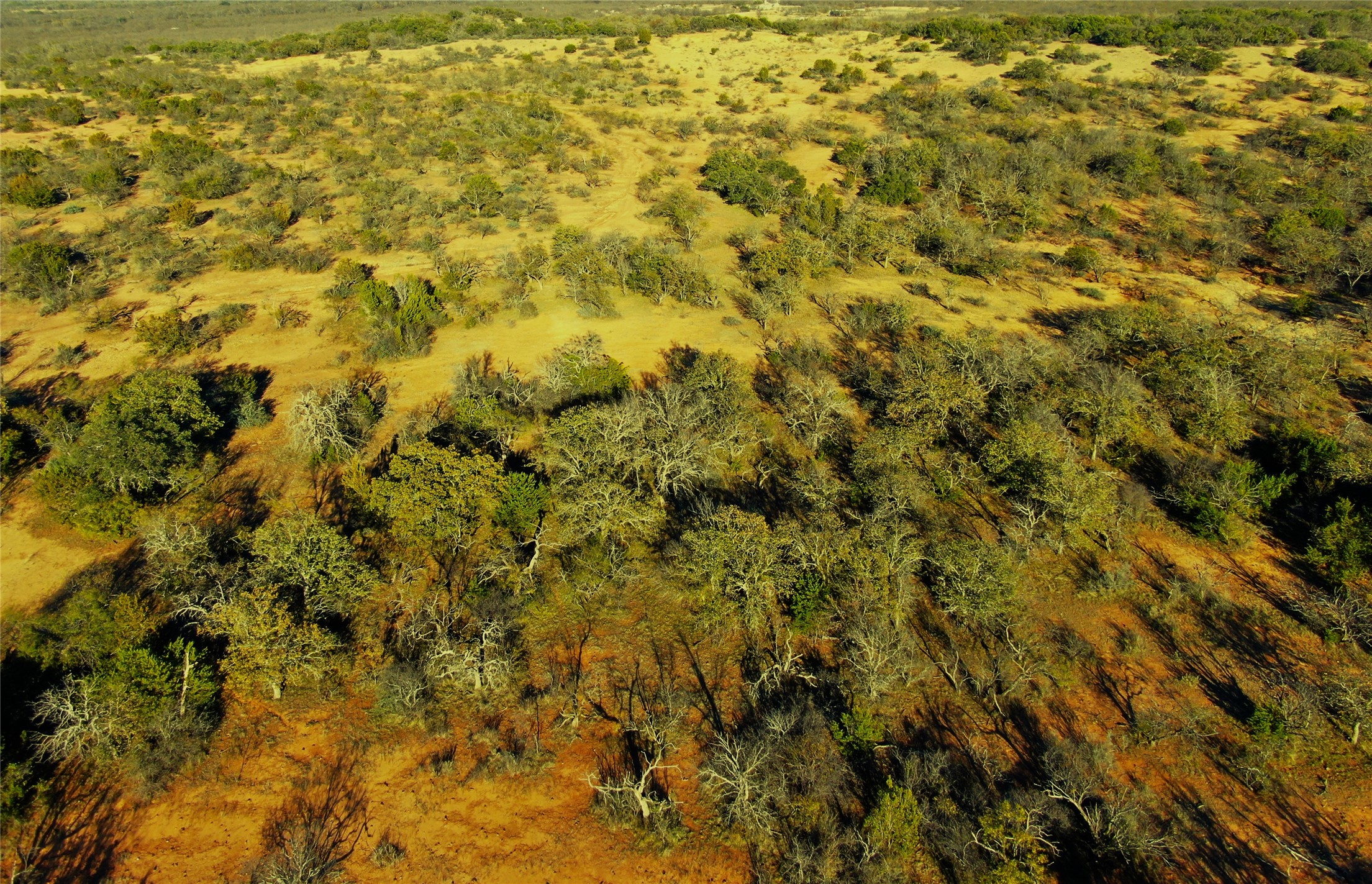 Tract 3 County Road 131 Brownwood TX 76801