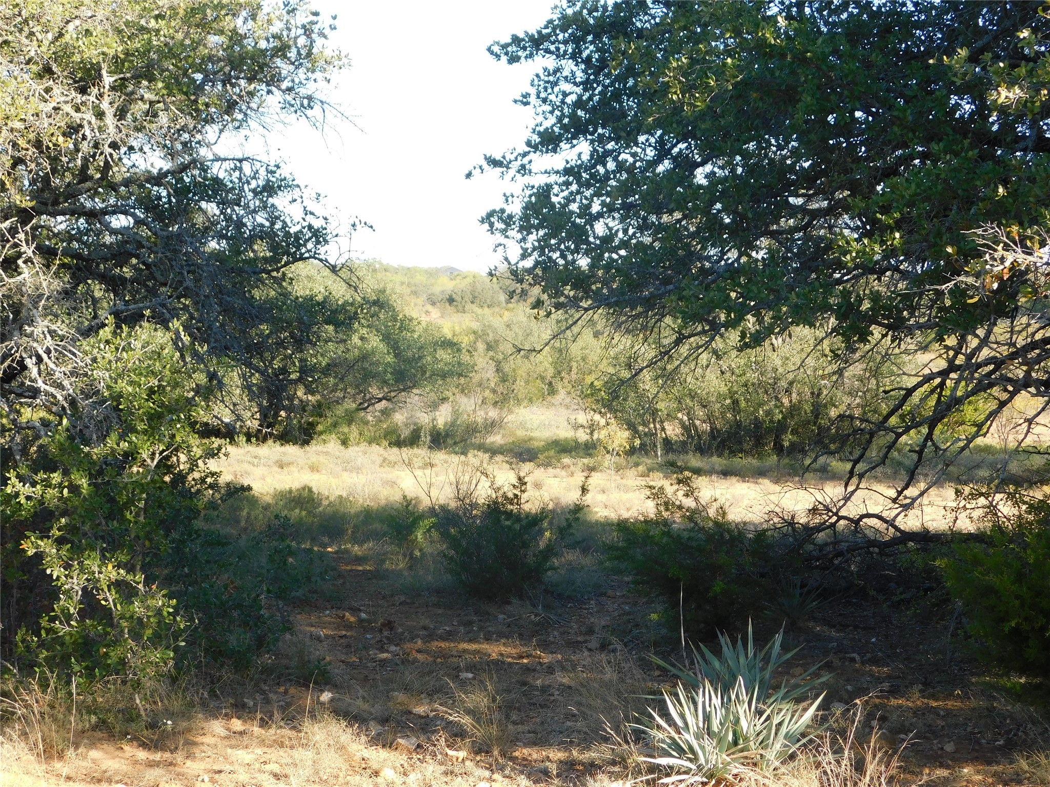 Tract 3 County Road 131 Brownwood TX 76801