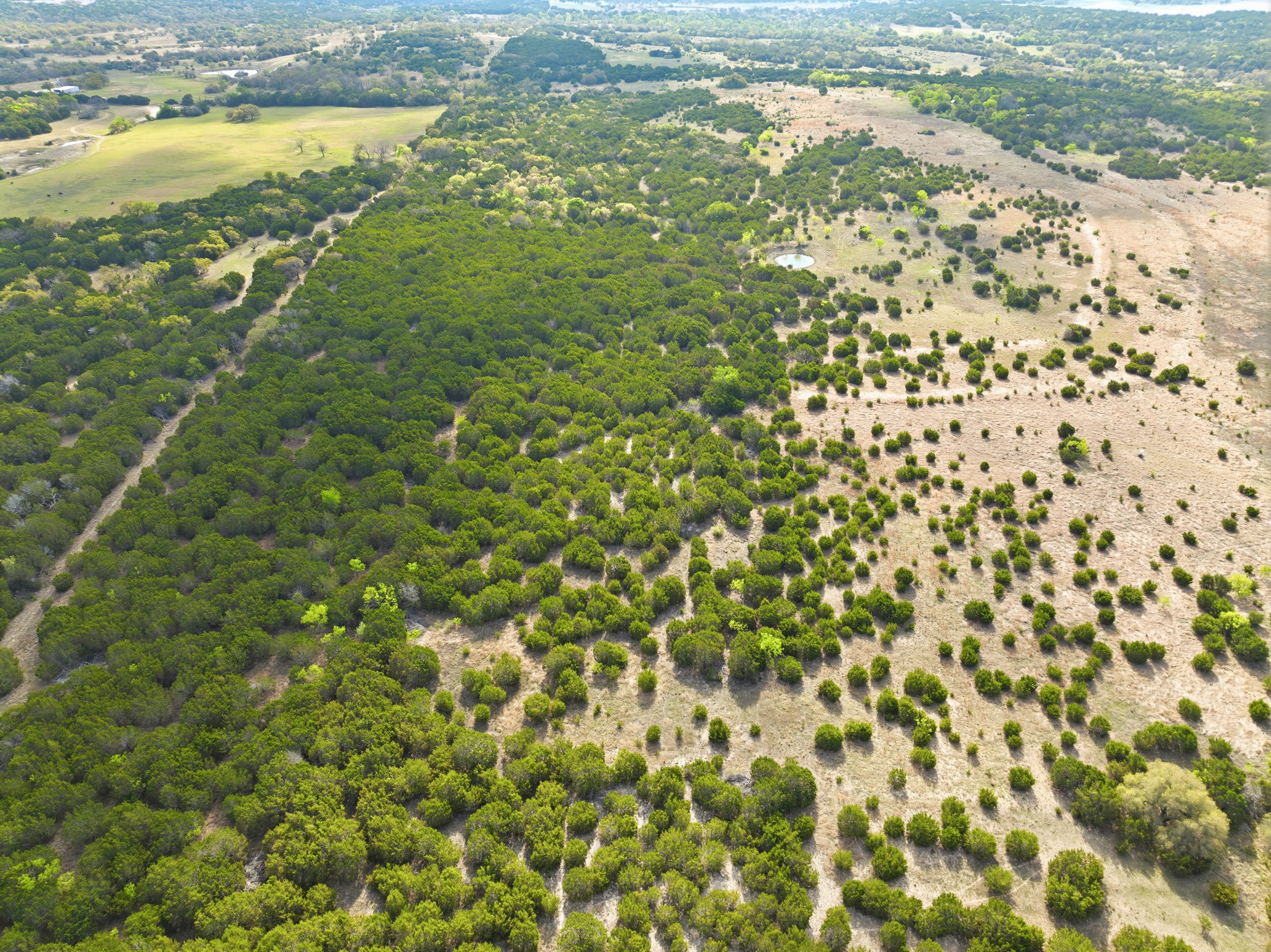 Tbd Off Cr 137 Gatesville TX 76528