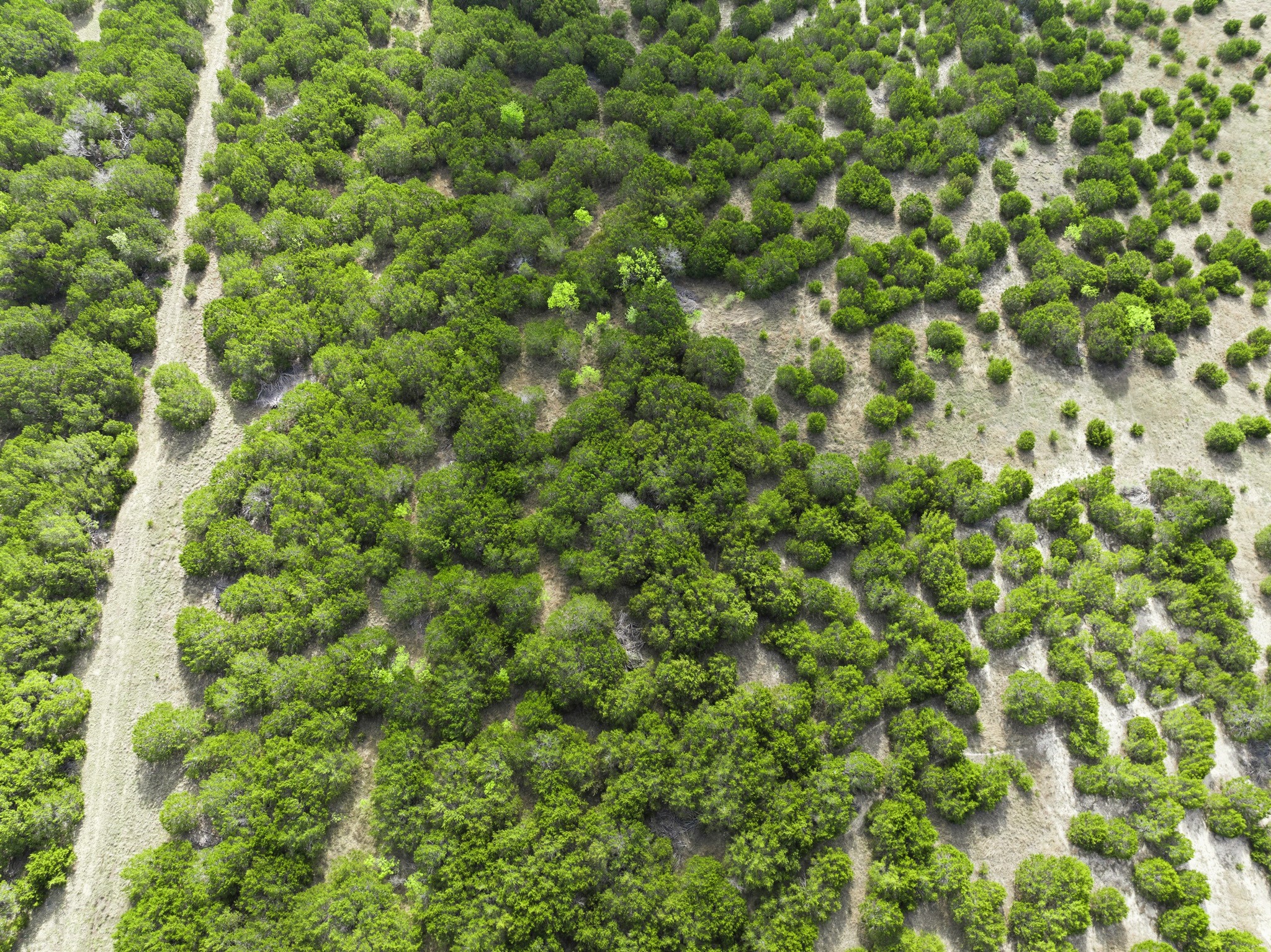 Tbd Off Cr 137 Gatesville TX 76528