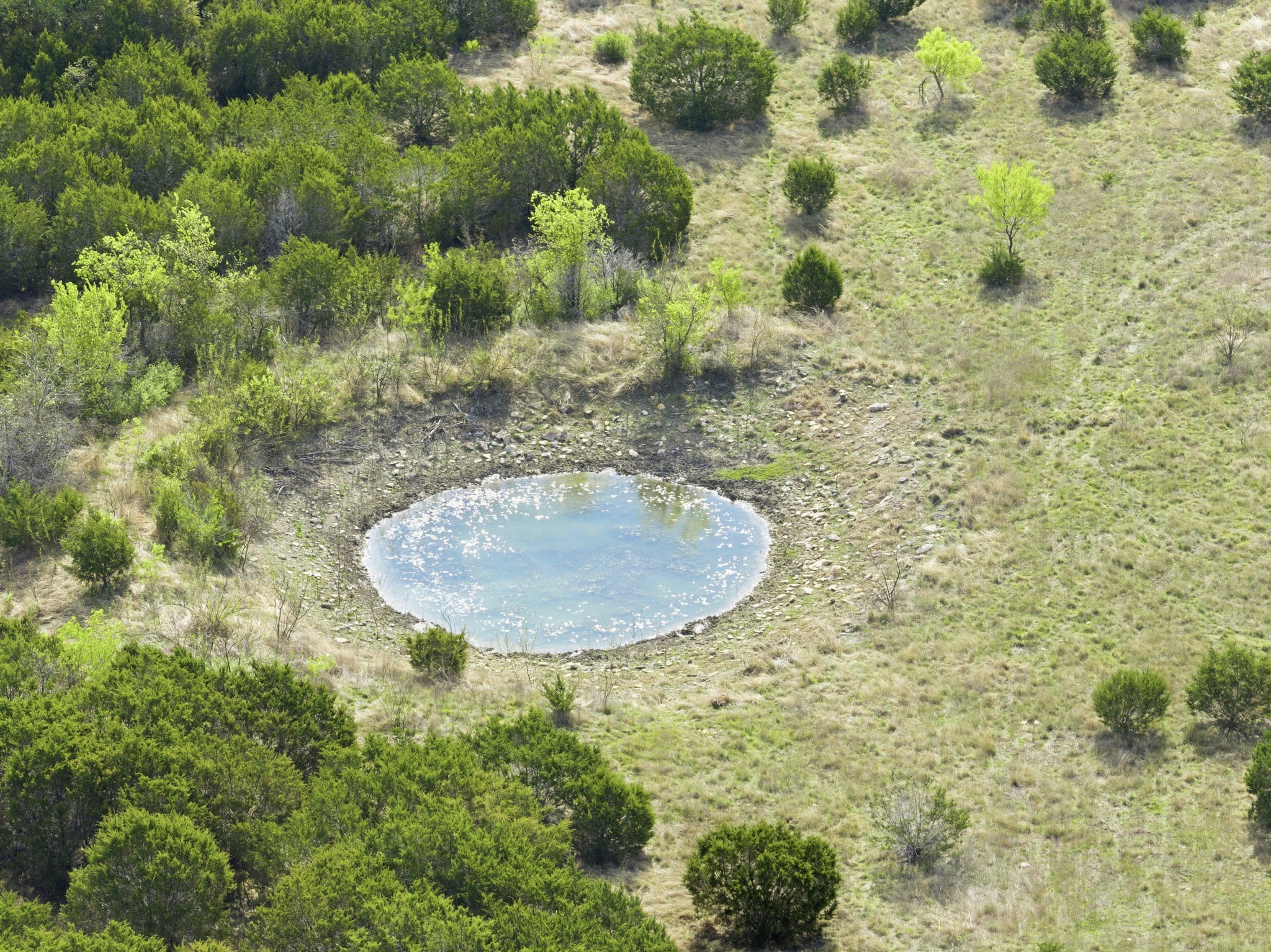 Tbd Off Cr 137 Gatesville TX 76528