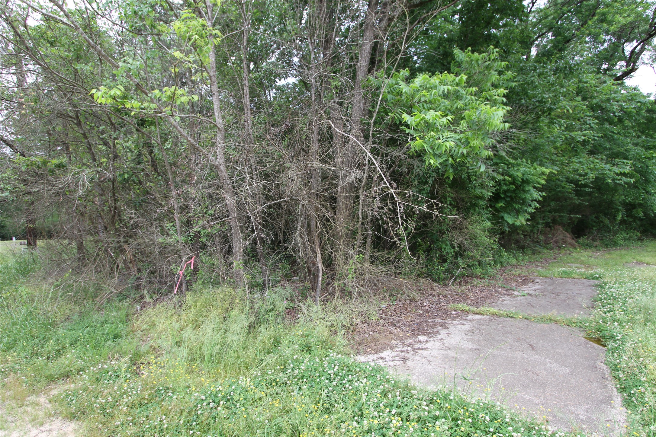 0 S Friou Street Jefferson TX 75657