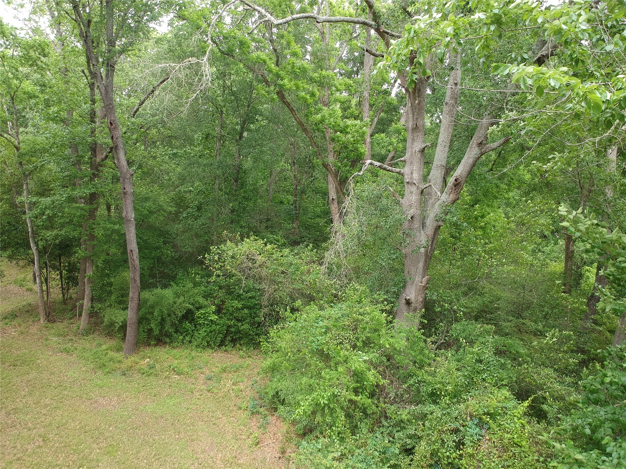 0 S Friou Street Jefferson TX 75657