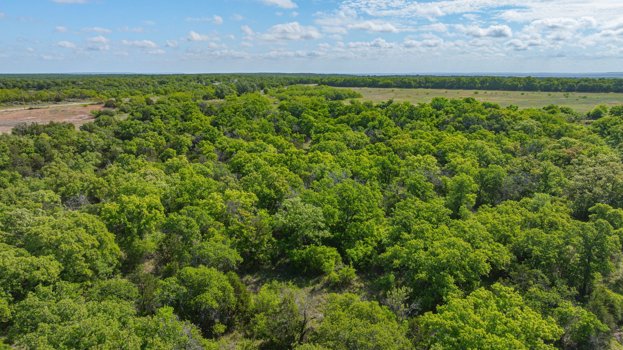 Tbd White Wolf Court Mingus TX 76463