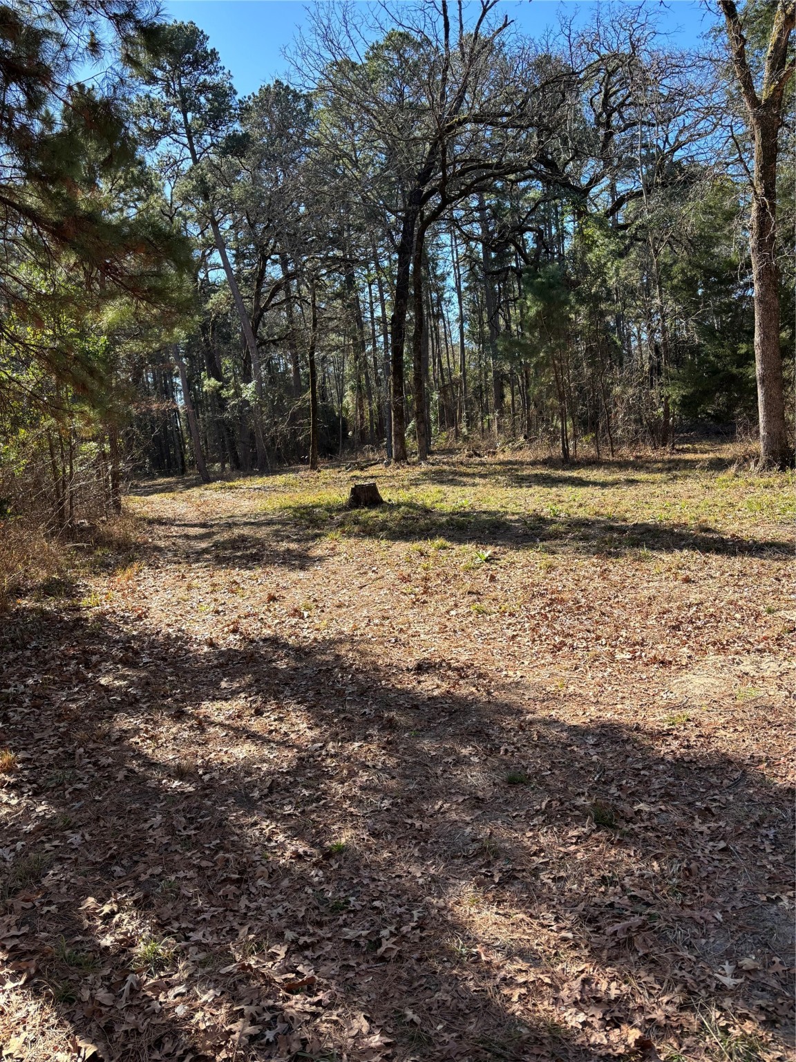 310 Private Road 8570 Winnsboro TX 75494