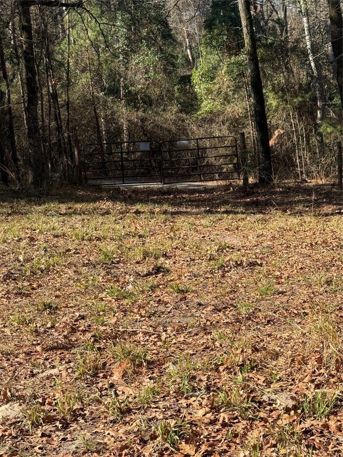 310 Private Road 8570 Winnsboro TX 75494