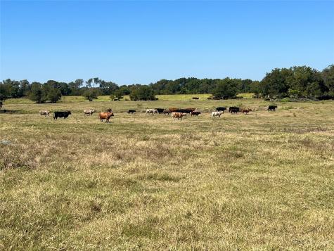 Tbd 1368 Acres Lowell Road Milford TX 76670
