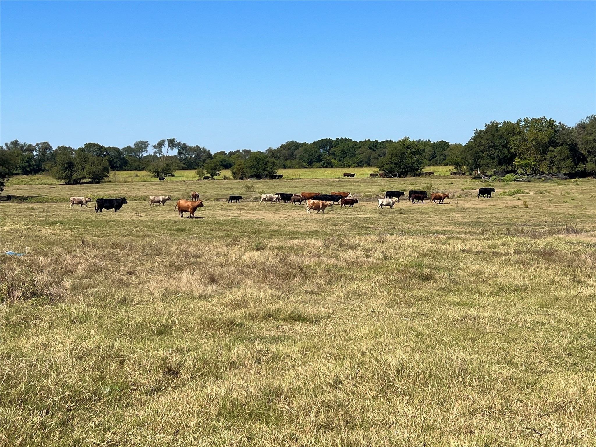 Tbd 1368 Acres Lowell Road Milford TX 76670
