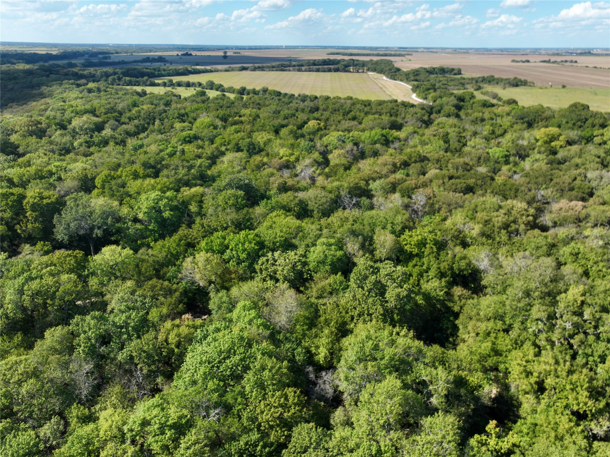Tbd 1368 Acres Lowell Road Milford TX 76670