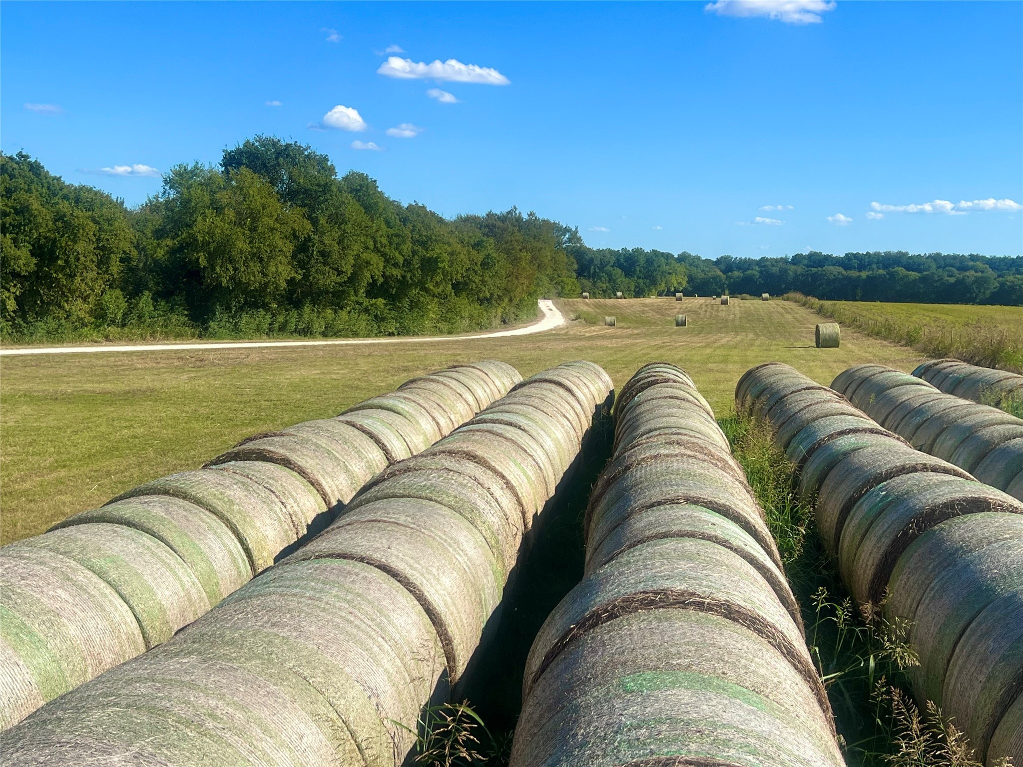 Tbd 1368 Acres Lowell Road Milford TX 76670
