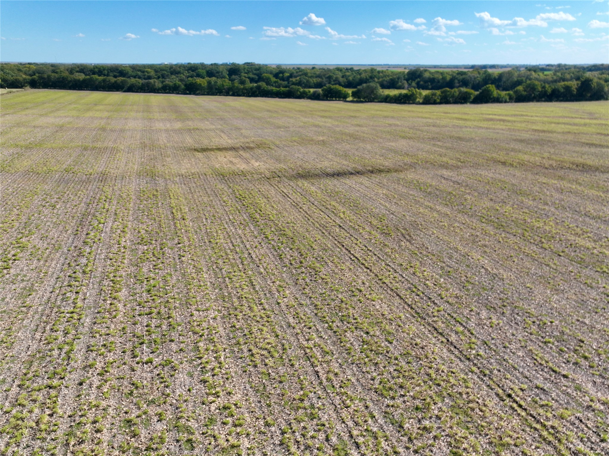 Tbd 1368 Acres Lowell Road Milford TX 76670