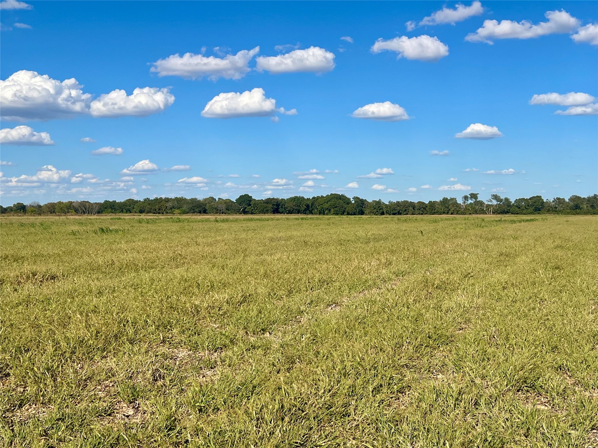 Tbd 1368 Acres Lowell Road Milford TX 76670