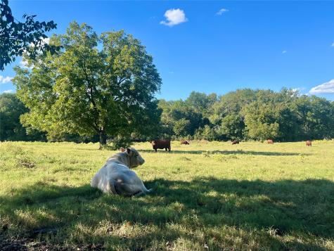 Tbd 1368 Acres Lowell Road Milford TX 76670