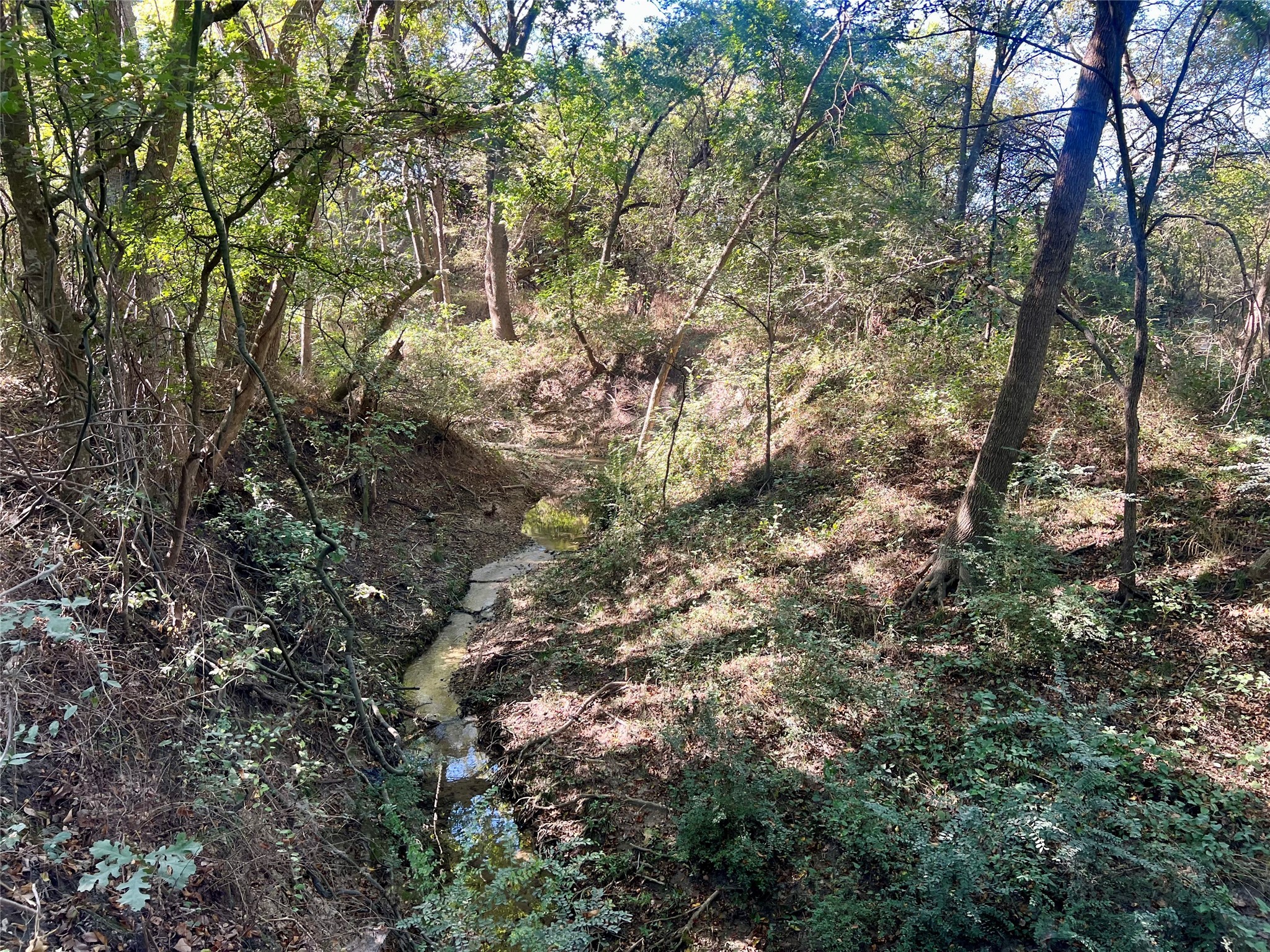 Tbd 1368 Acres Lowell Road Milford TX 76670