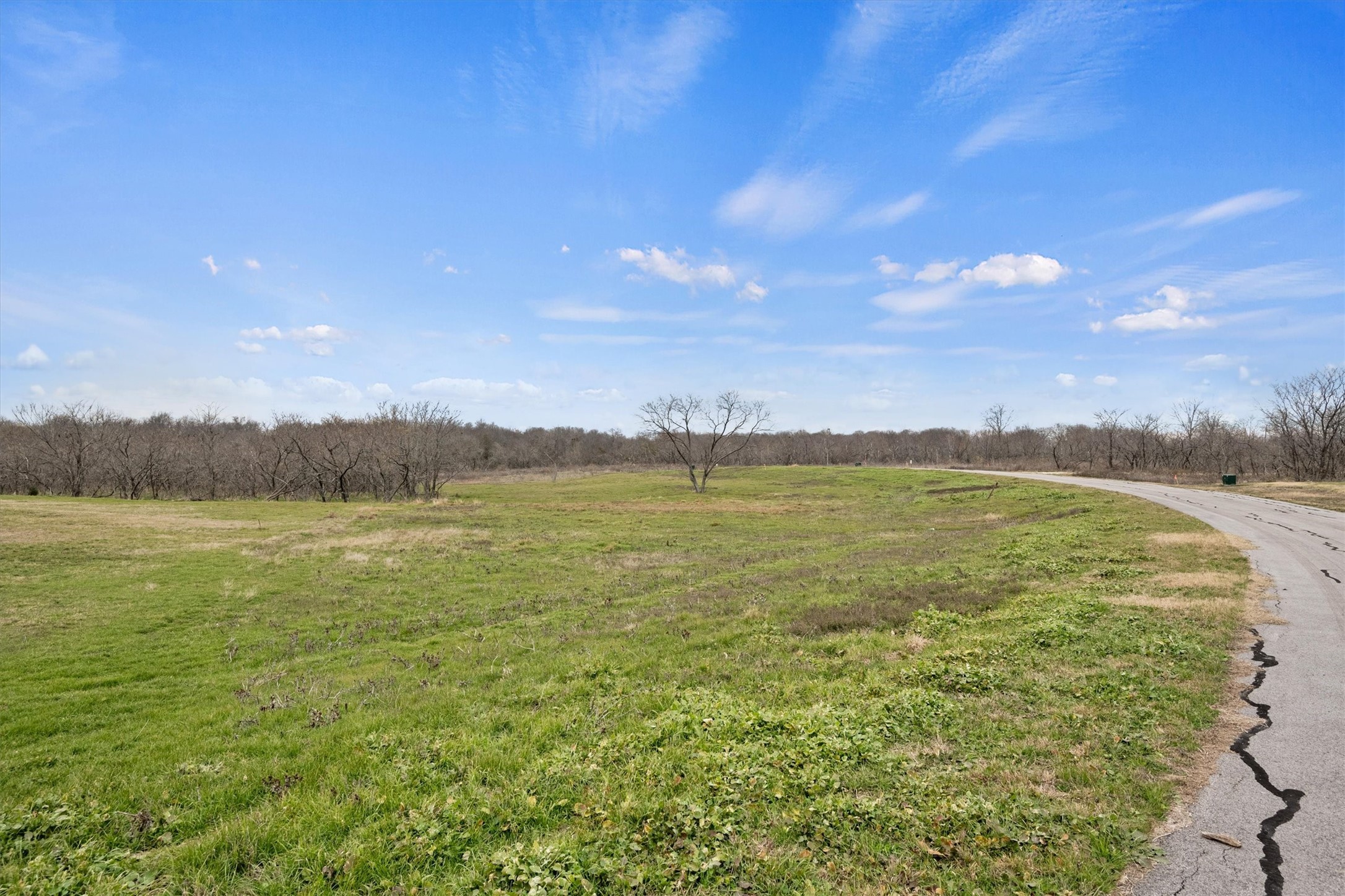 Lt 70 Cedar Brook Lane Kerens TX 75144