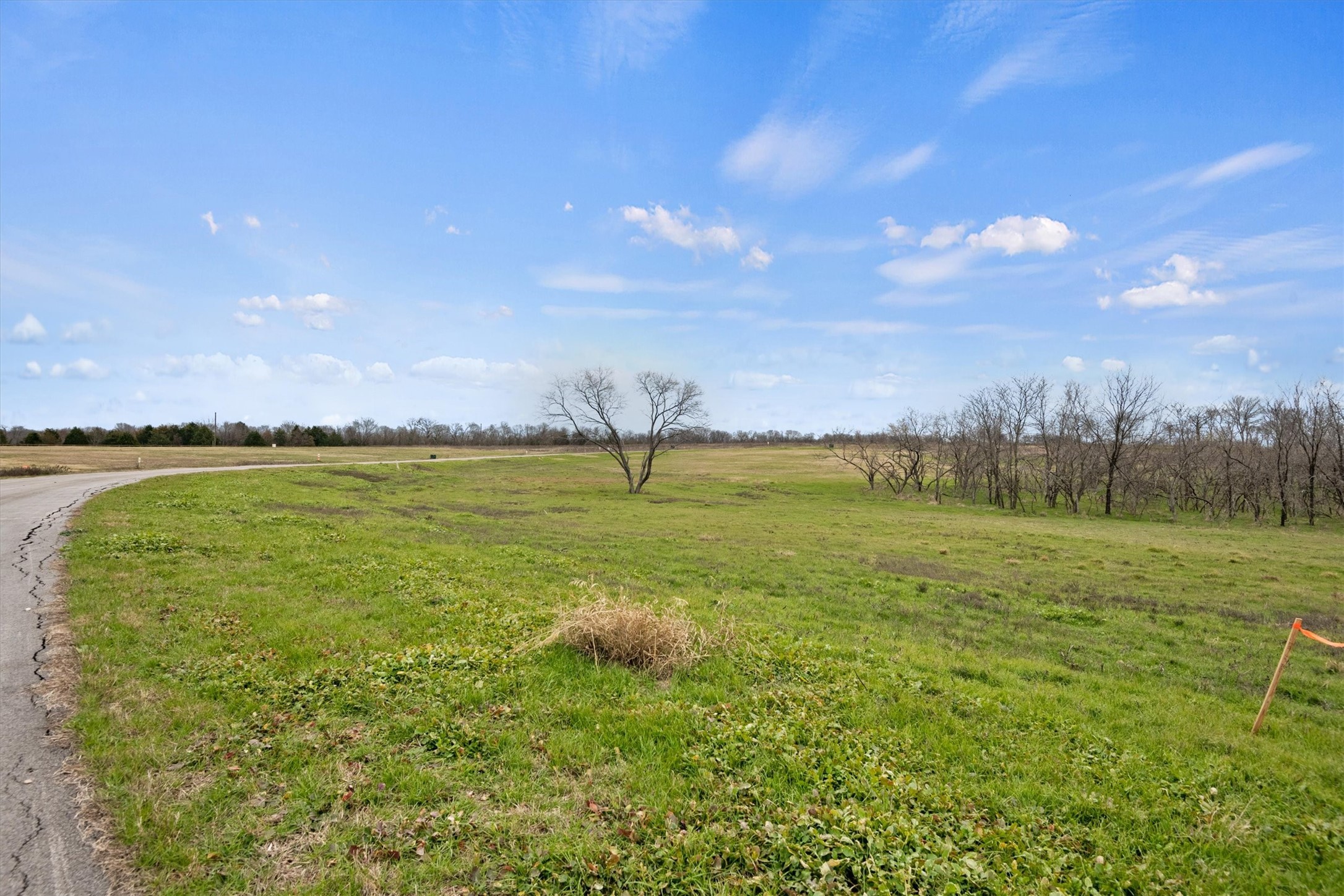 Lt 70 Cedar Brook Lane Kerens TX 75144