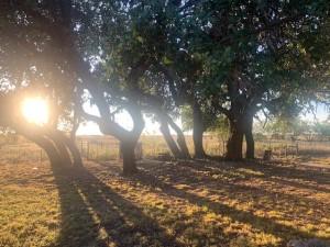 2232 Private Road 4032 Road Eden TX 76837