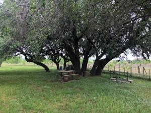 2232 Private Road 4032 Road Eden TX 76837