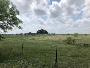 2232 Private Road 4032 Road Eden TX 76837