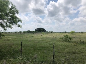 2232 Private Road 4032 Road Eden TX 76837
