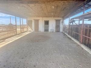 2232 Private Road 4032 Road Eden TX 76837