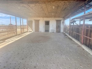 2232 Private Road 4032 Road Eden TX 76837