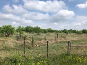 2232 Private Road 4032 Road Eden TX 76837