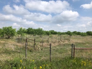 2232 Private Road 4032 Road Eden TX 76837