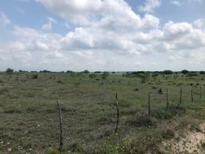 2232 Private Road 4032 Road Eden TX 76837