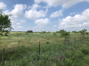 2232 Private Road 4032 Road Eden TX 76837