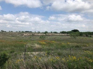 2232 Private Road 4032 Road Eden TX 76837