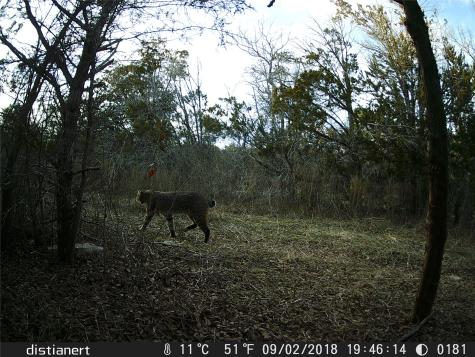 2516 County Road 328 Glen Rose TX 76043
