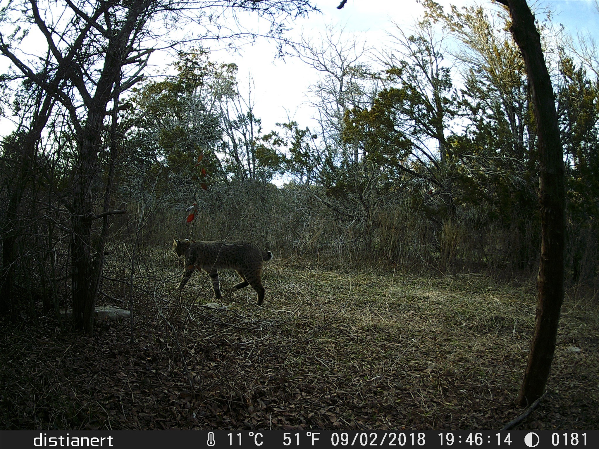 2516 County Road 328 Glen Rose TX 76043
