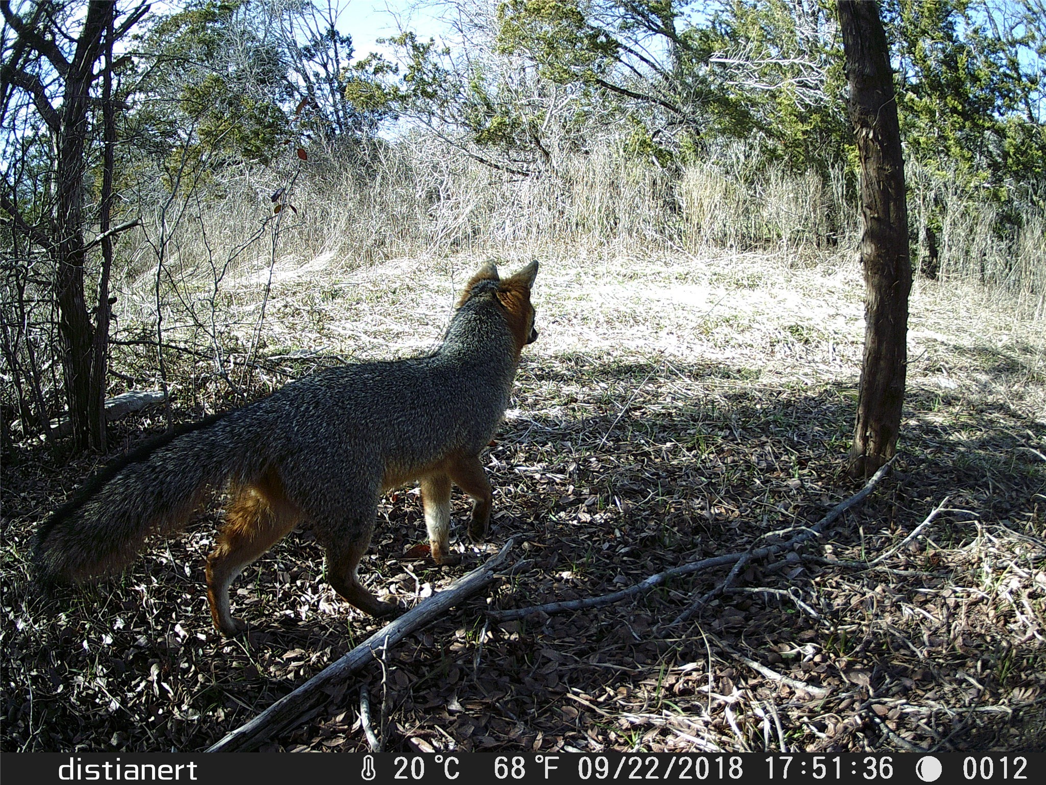 2516 County Road 328 Glen Rose TX 76043