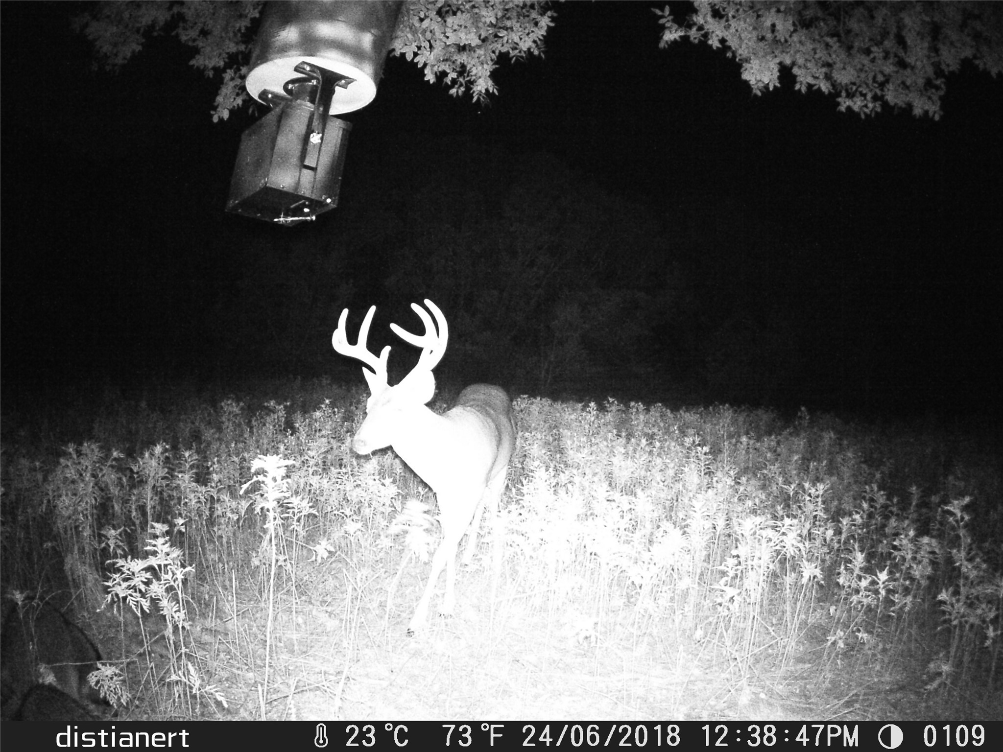 2516 County Road 328 Glen Rose TX 76043