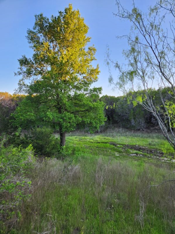 2516 County Road 328 Glen Rose TX 76043