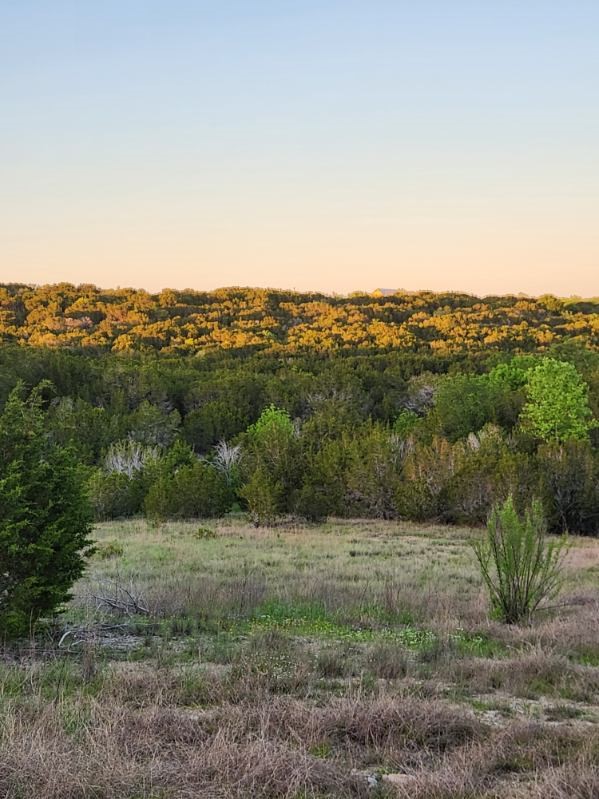 2516 County Road 328 Glen Rose TX 76043
