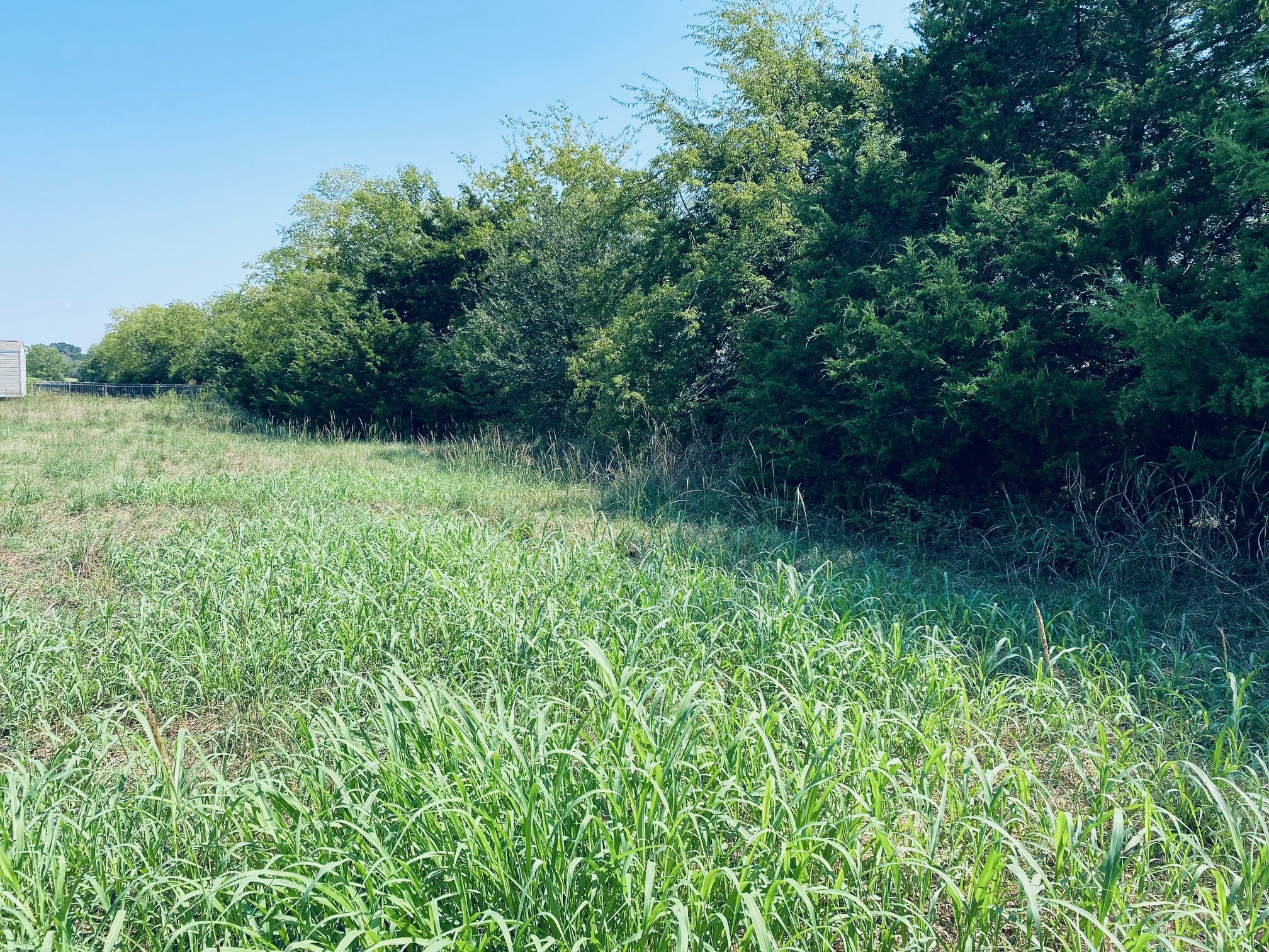236 County Road 1450 Road Point TX 75472