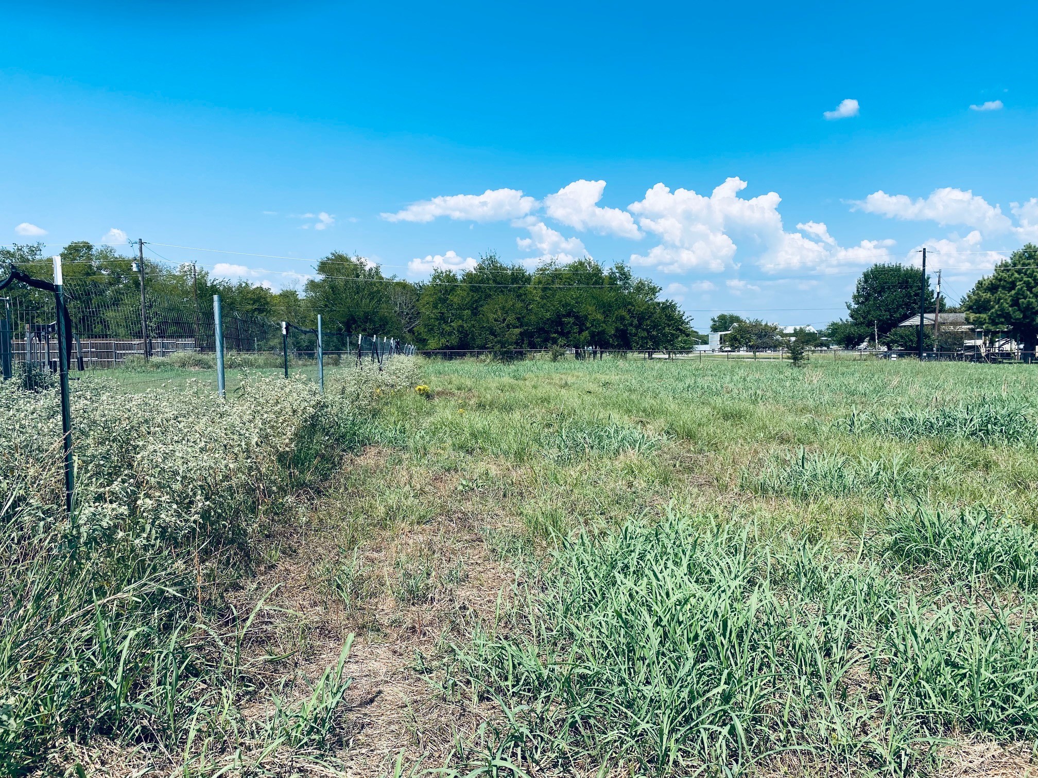 236 County Road 1450 Road Point TX 75472