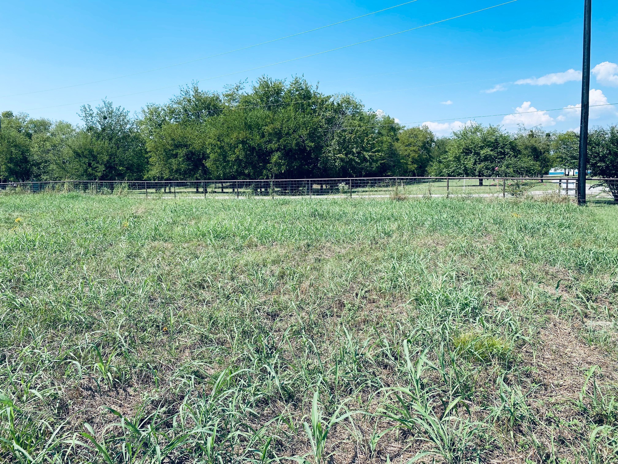 236 County Road 1450 Road Point TX 75472