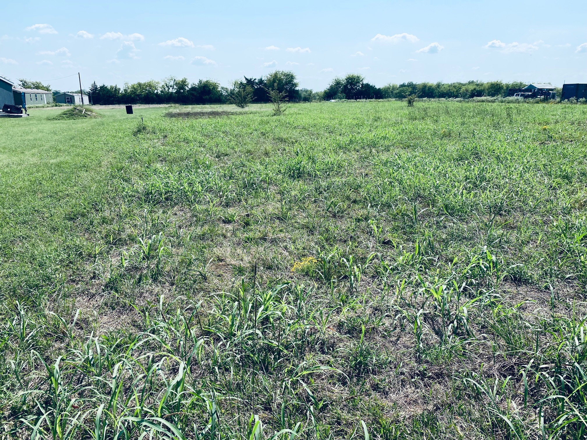 236 County Road 1450 Road Point TX 75472