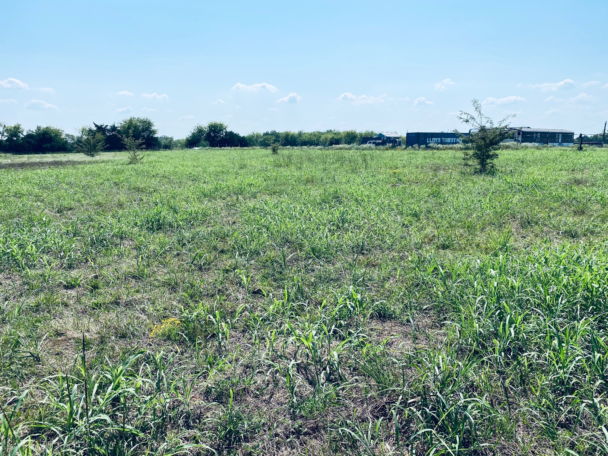 236 County Road 1450 Road Point TX 75472