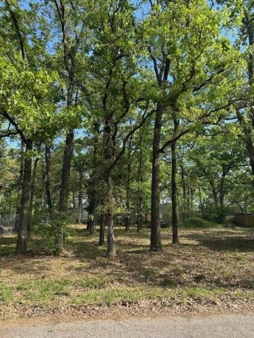 116 Red Bird Lane Mabank TX 75156