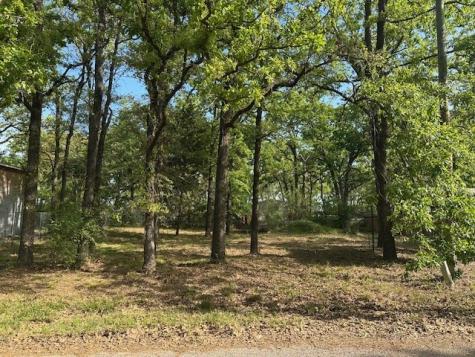 116 Red Bird Lane Mabank TX 75156
